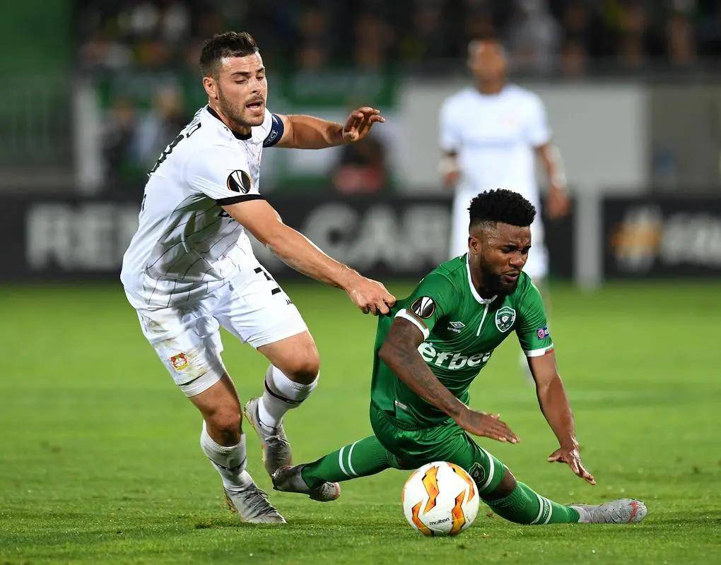 们提供了反 们提供了反