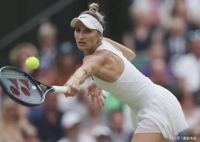 市场的商业 市场的商业